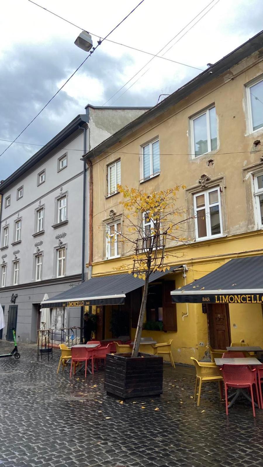 Apartments Of Lesya Ukrainka St. 25 Lviv Eksteriør bilde